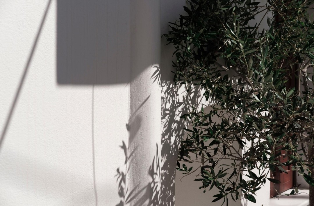 Sunlit Mediterranean terrace with olive branches and natural stone on Costa del Sol
